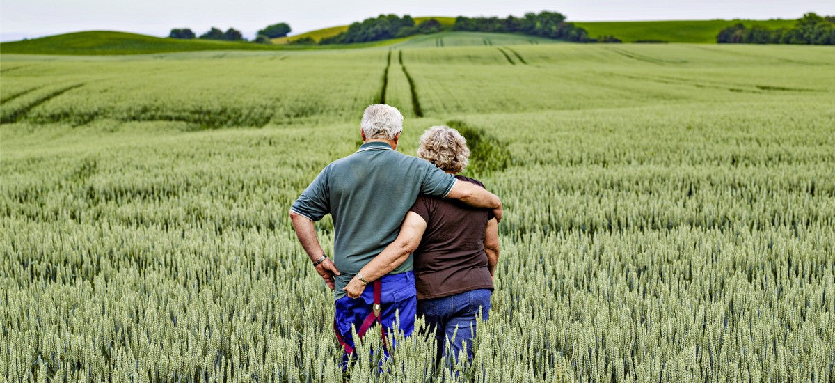 Transmission du bail rural au conjoint de l'exploitant décédé : à quelles conditions ?