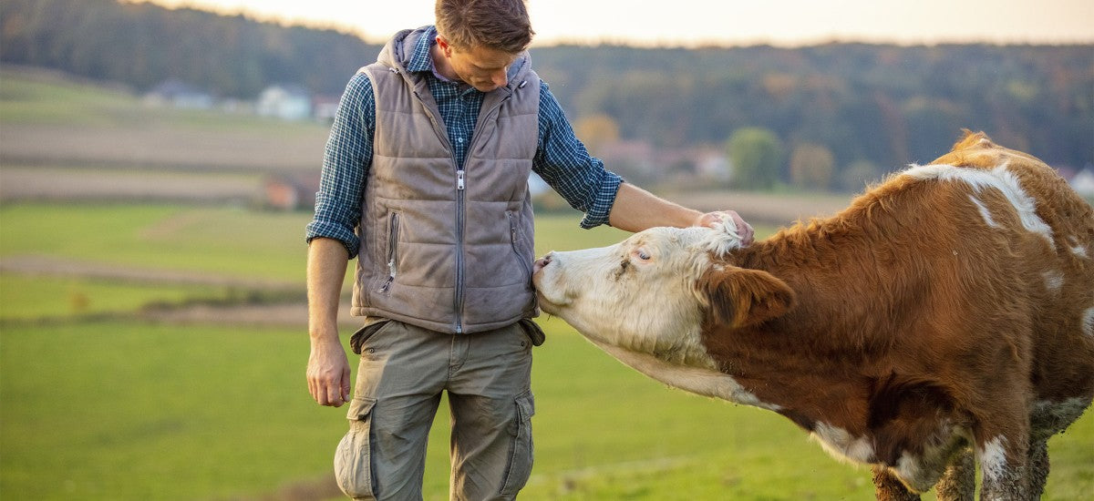 Agriculture : augmentation de plusieurs aides de la Pac au titre de 2023