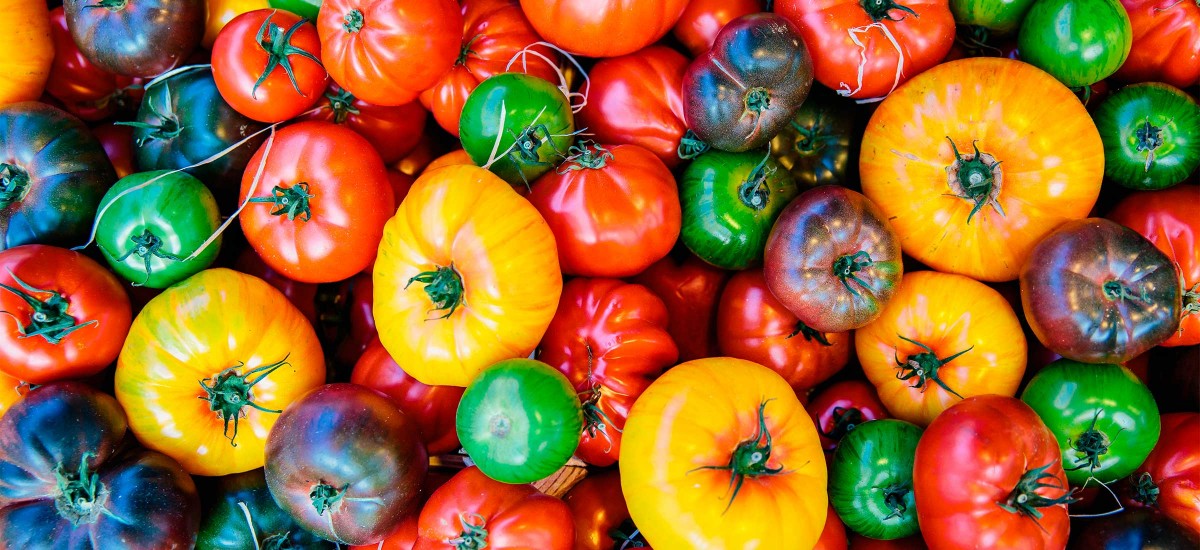 Culture des fruits et légumes : aide à l'achat d'agroéquipements