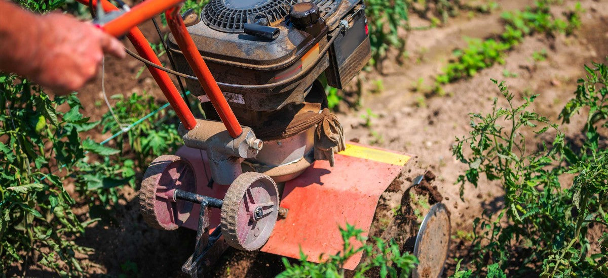 Arboriculture : aide à l'achat d'agroéquipements