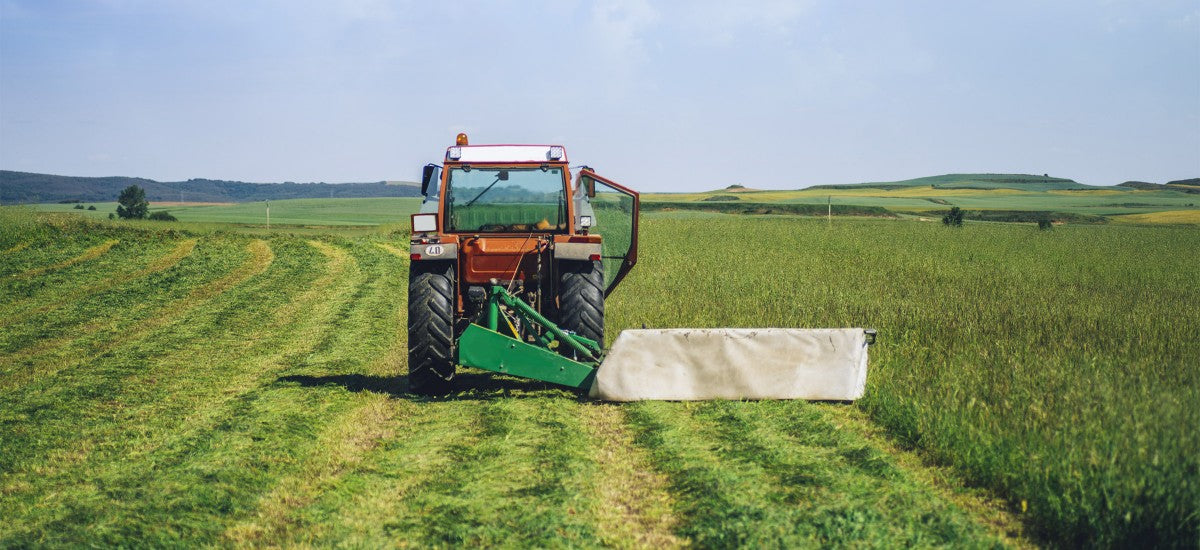 La résiliation de plein droit d'un bail rural environnemental