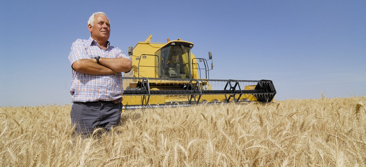 Bail rural : gare au recours à une entreprise de travaux agricoles !