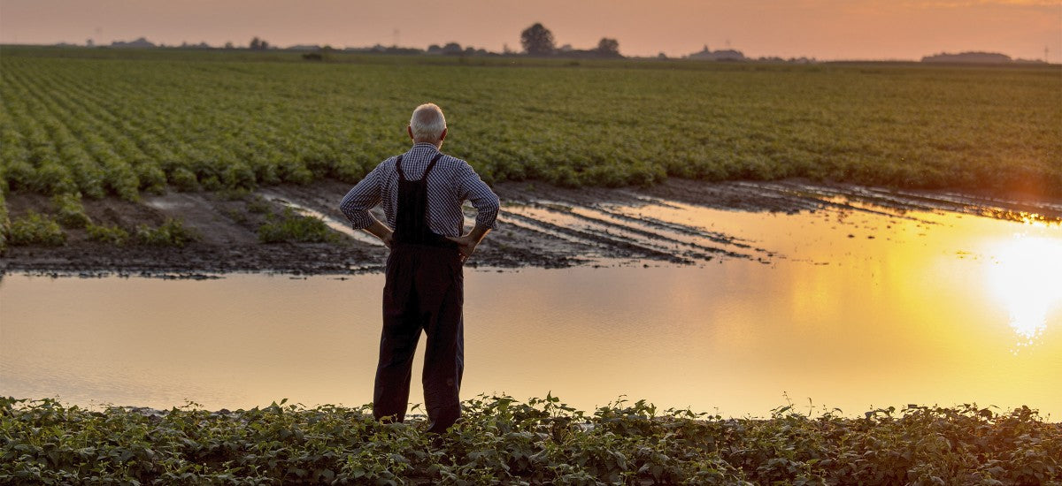 Des dégrèvements de taxe foncière pour les agriculteurs victimes d'une perte de récoltes