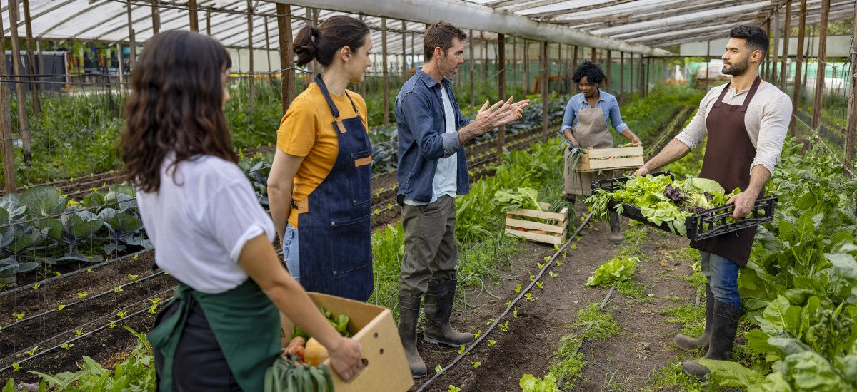 Les associations agricoles employeuses en 2023